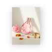 Picture of BUGATTI FELICITA EAU DE PARFUM 60ML